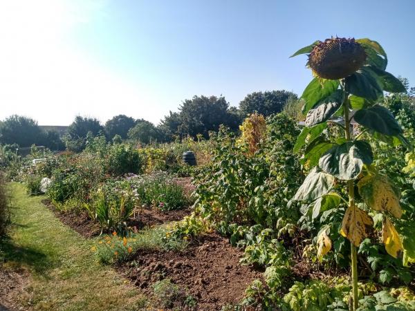 Allotments