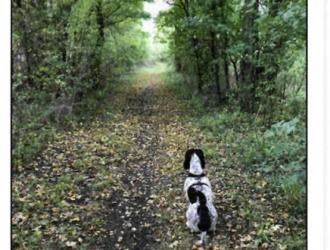 Great Finborough Footpaths
